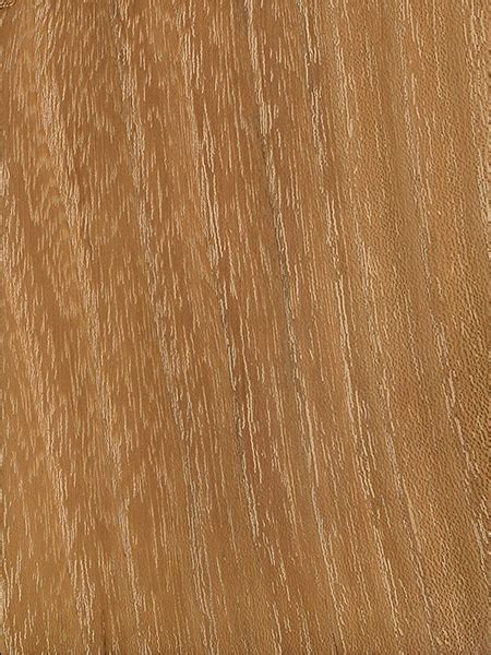 Wood Database Black Locust