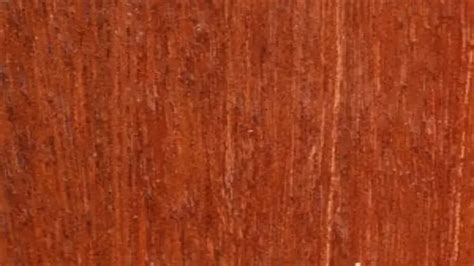 Wood From Philippines