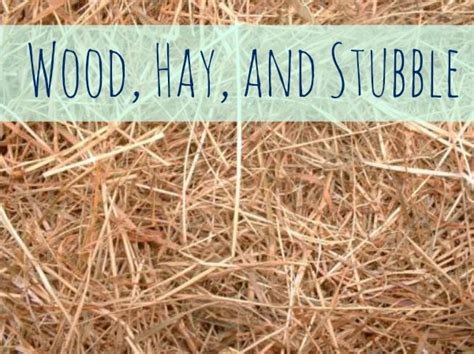 wood hay and stubble