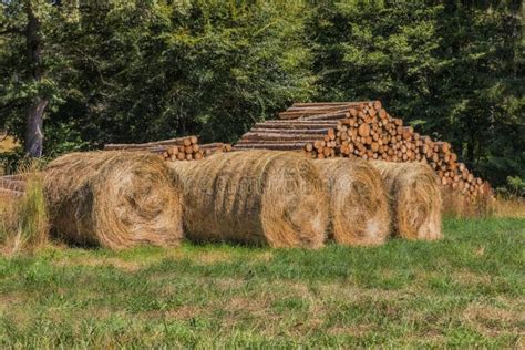 wood hay and stubble will burn away