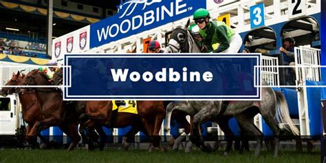 woodbine racetrack entries for today