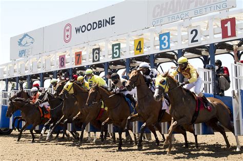 woodbine racetrack free program