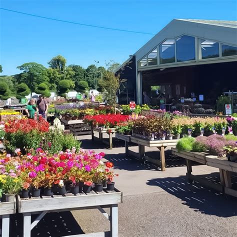 woodborough green garden centre