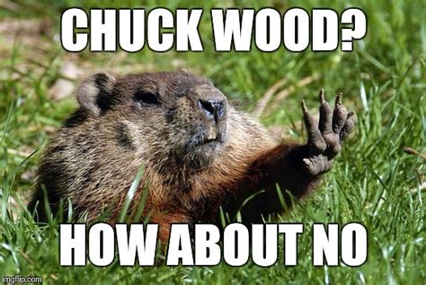 Woodchuck Meme