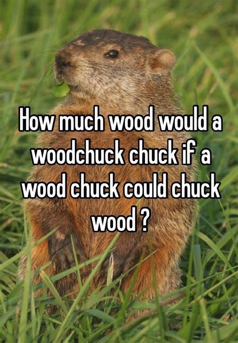 Woodchuck Quotes