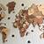 wooden world map india