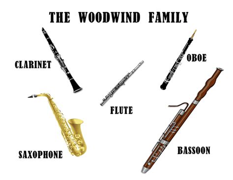 Woodwind Instruments Found In An Orchestra