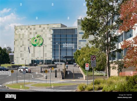 woolworths group head office