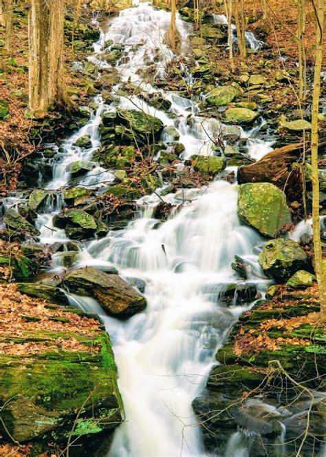 Worcester County Land Trust