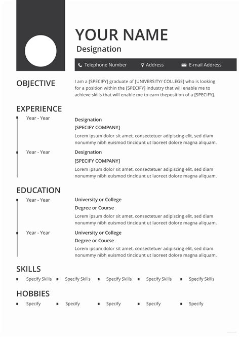 Attractive Resume Template Sample Format in Word (doc/docx)