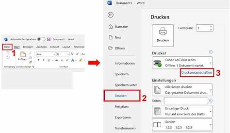 Drucken in Schwarzweiß in Microsoft Word - OkiDK
