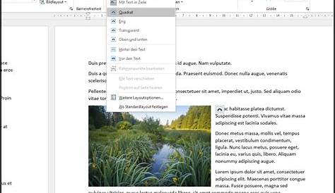 Microsoft Word - Bilder neben Text positionieren