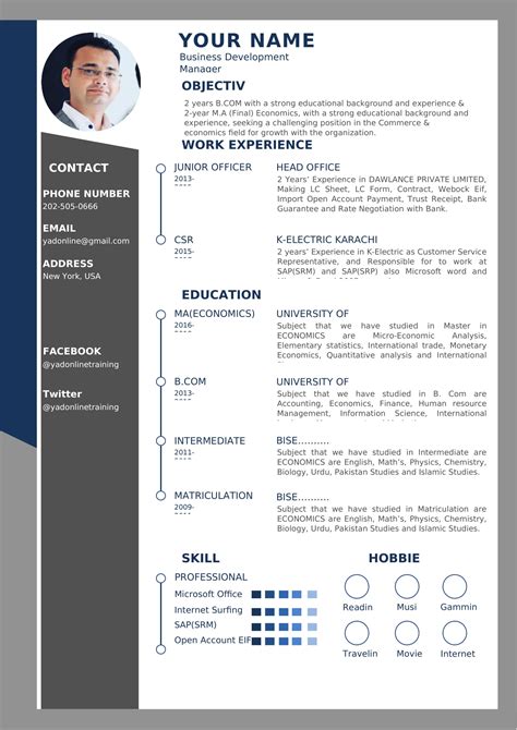word cv format pdf