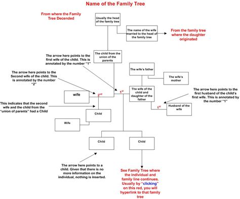word family tree example with explanation