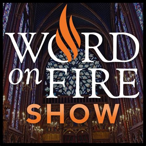 word on fire bishop barron nefarious review