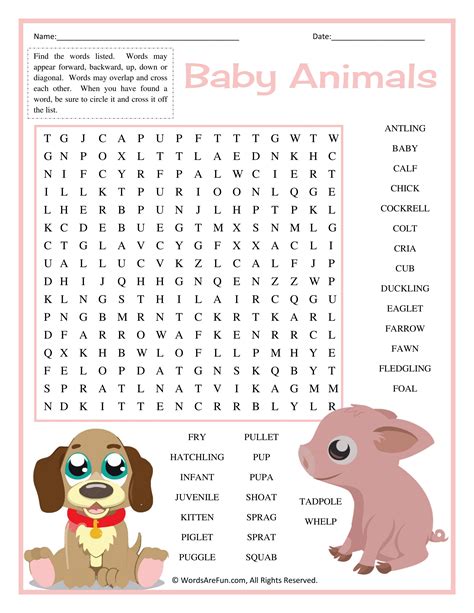 word search animals games fun