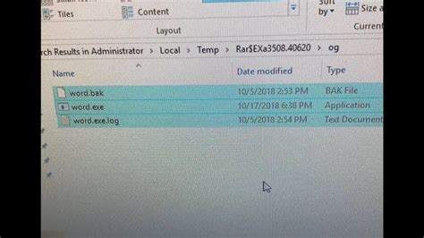 Word.exe File Overview