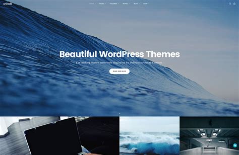 wordpress theme examples