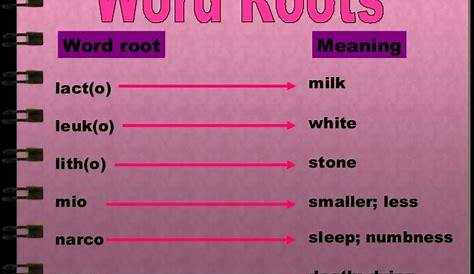 Image result for root words | Teaching elementary, Teaching reading