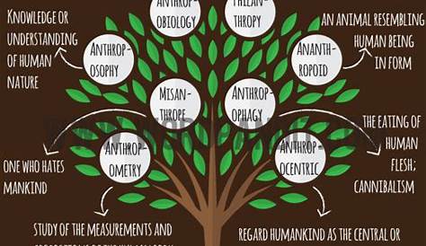Examples of Root Words: 45 Common Roots With Meanings | YourDictionary