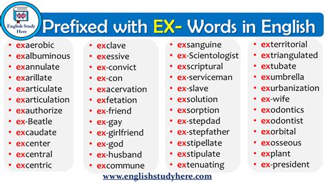 words beginning with ex