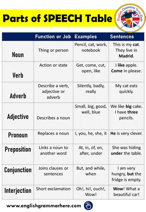 words definition in english with examples