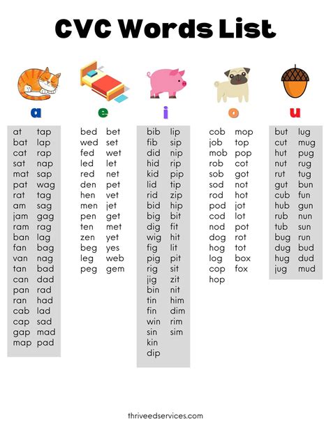 words in cvc pattern