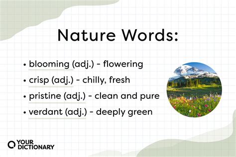 words that mean connected to nature