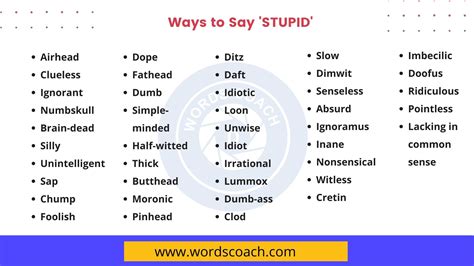 words that mean stupid