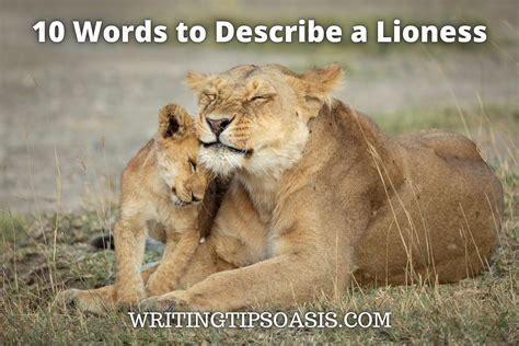 words to describe a lioness