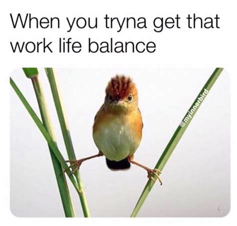 Work-Life Balance Meme