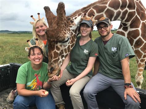 work with wild animals near me