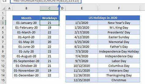 Get the total number of working days in each month or year [Cool online