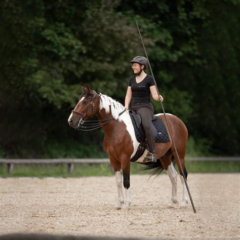 Working Equitation Equipment
