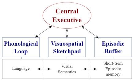 working memory model simple explanation