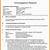 workplace investigation investigation report template