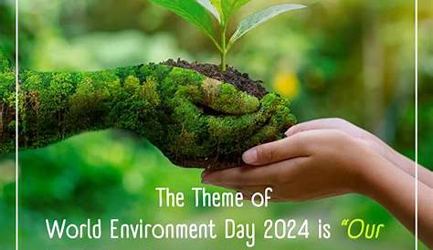 World Environment Day - lots to celebrate! - mapmyway