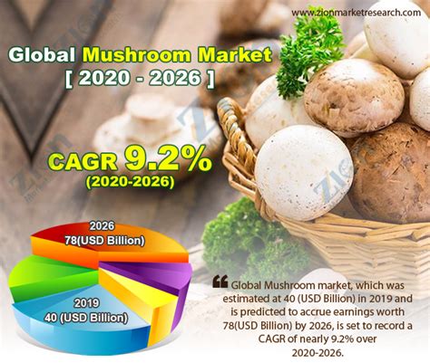 World Market Mushroom: A Growing Trend In 2023