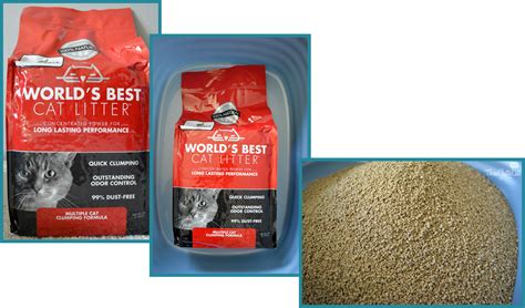 world's best cat litter brand