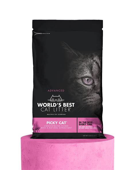 world's best cat litter picky cat review