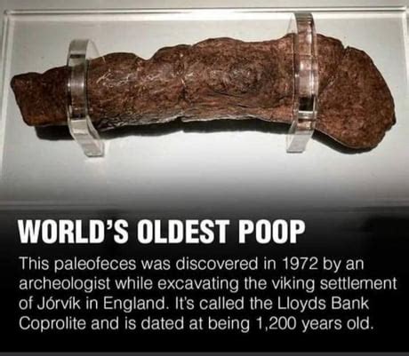 world biggest poop