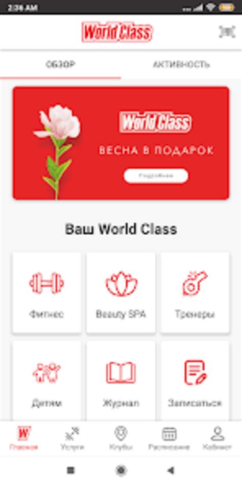 world class whores 2