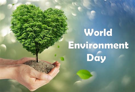 world environment day motto 2023