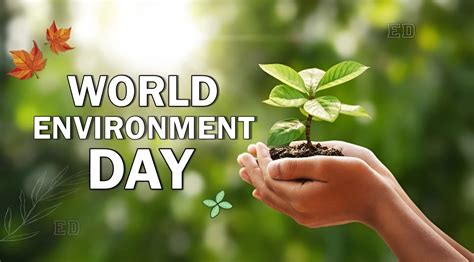 world environment day theme 2023 pdf