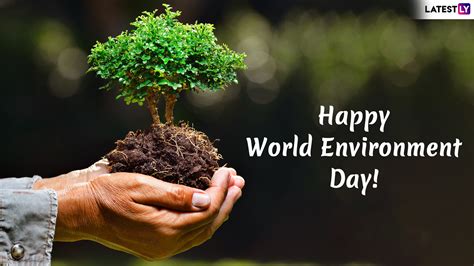 world environment day website