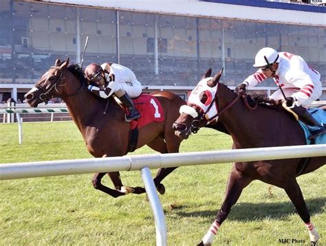 world finance two notch road