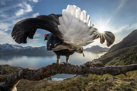 The Best World Nature Photography Of 2023