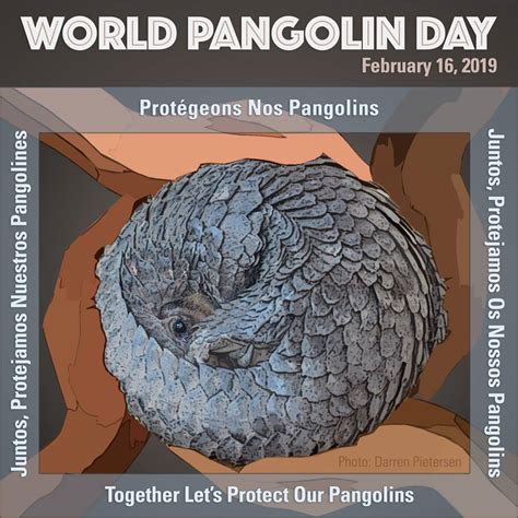 world pangolin day 2019