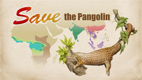 world pangolin day awareness