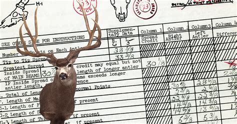 World Record Mule Deer Buck